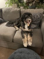 IMG_1330 Medium.jpeg (90 KB)